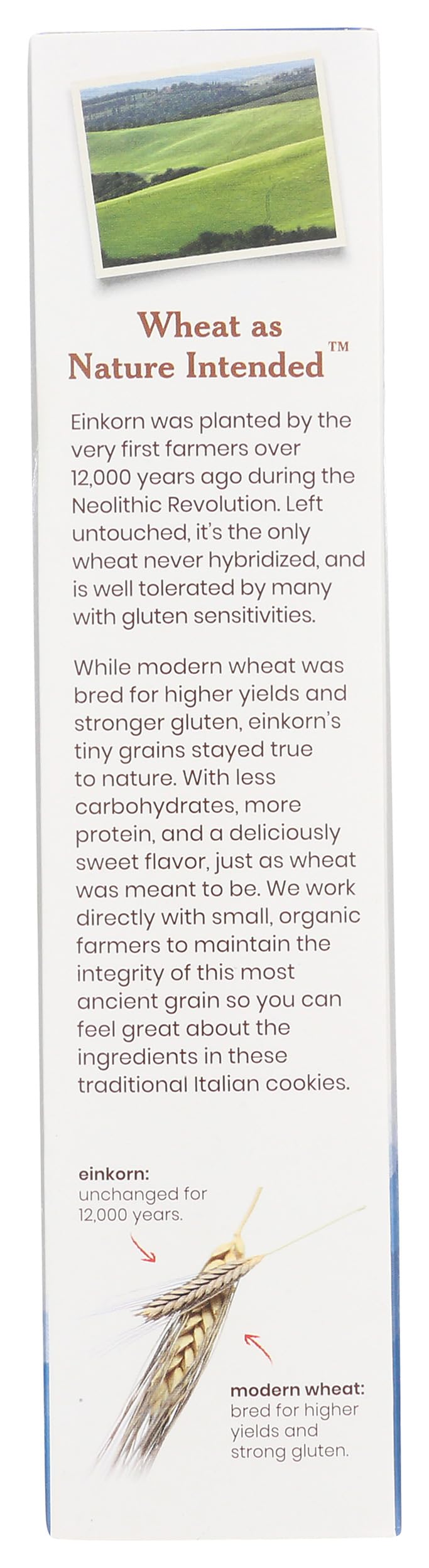 Jovial Organic Einkorn Checkerboard Cookies - Organic Cookies, High Protein, Fair Trade Certified, All Natural Ingredients, Low Carb, Low Sugar, Palm