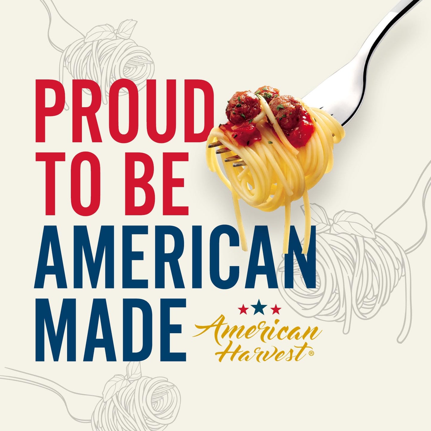 AMERICAN HARVEST, Spaghetti Pasta, Enriched with Vitamins, 16 oz (20 Pack) | Made in America, Non-GMO Semolina, Classic Al Dente Texture | 100 Years