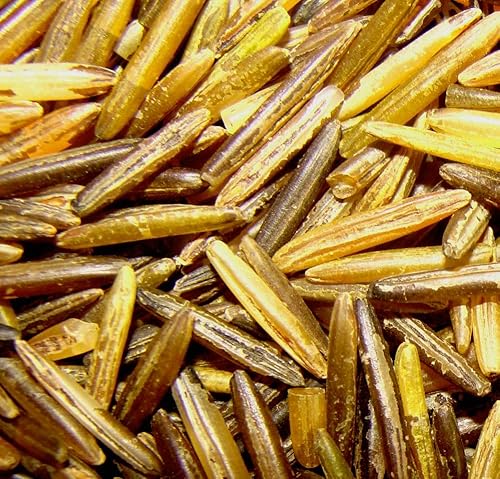BINESHII Gourmet Wild Rice! The Finest Wild Rice In The World! 10-lbs Handharvested, Cedar Wood Parched.
