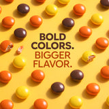 Candy Coated Peanut Butter Chocolate Bites 24oz Bulk Bag, Peanut Butter Center with Crisp Shell, Orange Yellow Brown Candy Pieces for Party Favors