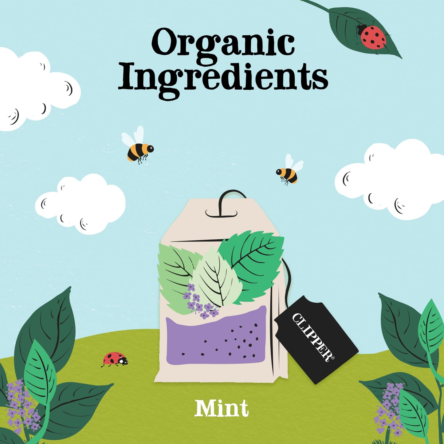 Clipper Tea Mint Herbal Teabags - Caffeine Free, USDA Organic, Great Hot or Iced - Refreshing, Natural, Fair & Delicious - 50 Tea Bags
