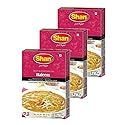 Shan Haleem Recipe and Seasoning Mix 1.76 oz (50g) - Spice Powder for Traditional Meat and Lentil Curry - Suitable for Vegetarians - Airtight Bag in a