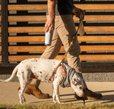 Grounds & Hounds Morning Walk Breakfast Blend - Ground, 100% Organic Coffee Grounds, Ground Coffee Medium Roast, Bulk Ground Coffee, 2lbs