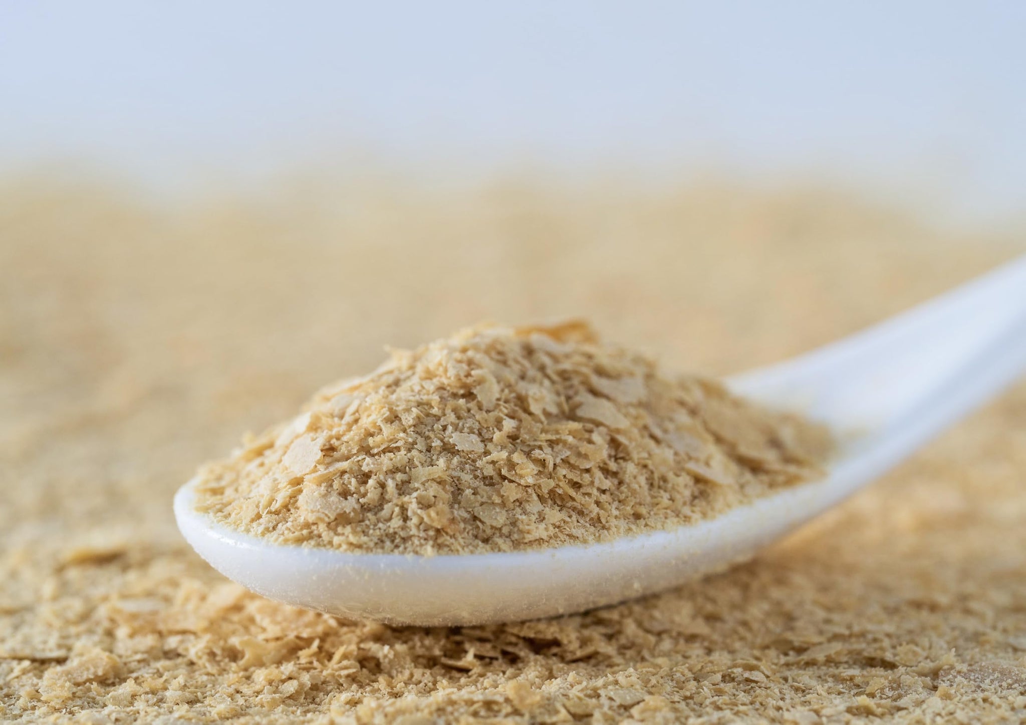 Food to Live Organic Amaranth Flakes, 2 Pounds - Non-GMO Pressed Amaranth Seeds, Vegan, Kosher, Bulk, High in Dietary Fiber, Protein, and Selenium