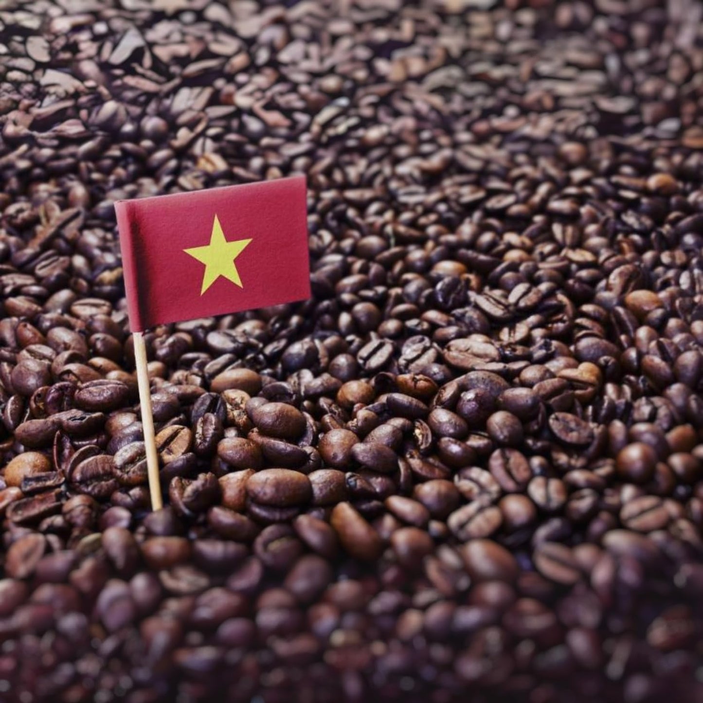 Premium Kopi Campur From Indonesia Wild Palm Civets Arabica Coffee Beans, Medium Roast, 250 Grams