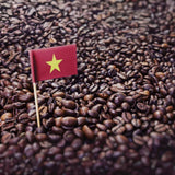 Premium Kopi Campur From Indonesia Wild Palm Civets Arabica Coffee Beans, Medium Roast, 250 Grams