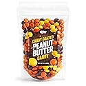 Candy Coated Peanut Butter chocolate bites 10oz Bag with Peanut Butter Center and Crisp Candy Shell, Orange Yellow Brown Candy Pieces for Party