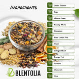 Blentolia Multi Fruit & Herbal Tea Blend with Linden, Sage, Rosehip, Ginger & Hibiscus - 12 Fruits, Herbs & Spices - Herbal Winter Tea - Loose Leaf