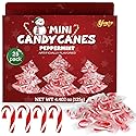 Christmas Mini Candy Canes Classic Red & White Peppermint Flavor for Holiday Family Indulgement - Small Candy Canes Individually Wrapped for Kids