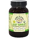 Pure Planet Just Barley Organic Juice Powder 40 Grams