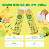 JUST MADE JUICE Pineapple Ginger Juice, 11.8 FZ