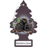 LITTLE TREES Car Air Freshener | Hanging Paper Tree for Home or Car | Blackberry Clove | Pack of 24