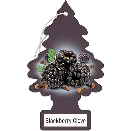 LITTLE TREES Car Air Freshener | Hanging Paper Tree for Home or Car | Blackberry Clove | Pack of 24