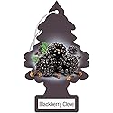 LITTLE TREES Car Air Freshener | Hanging Paper Tree for Home or Car | Blackberry Clove | Pack of 24