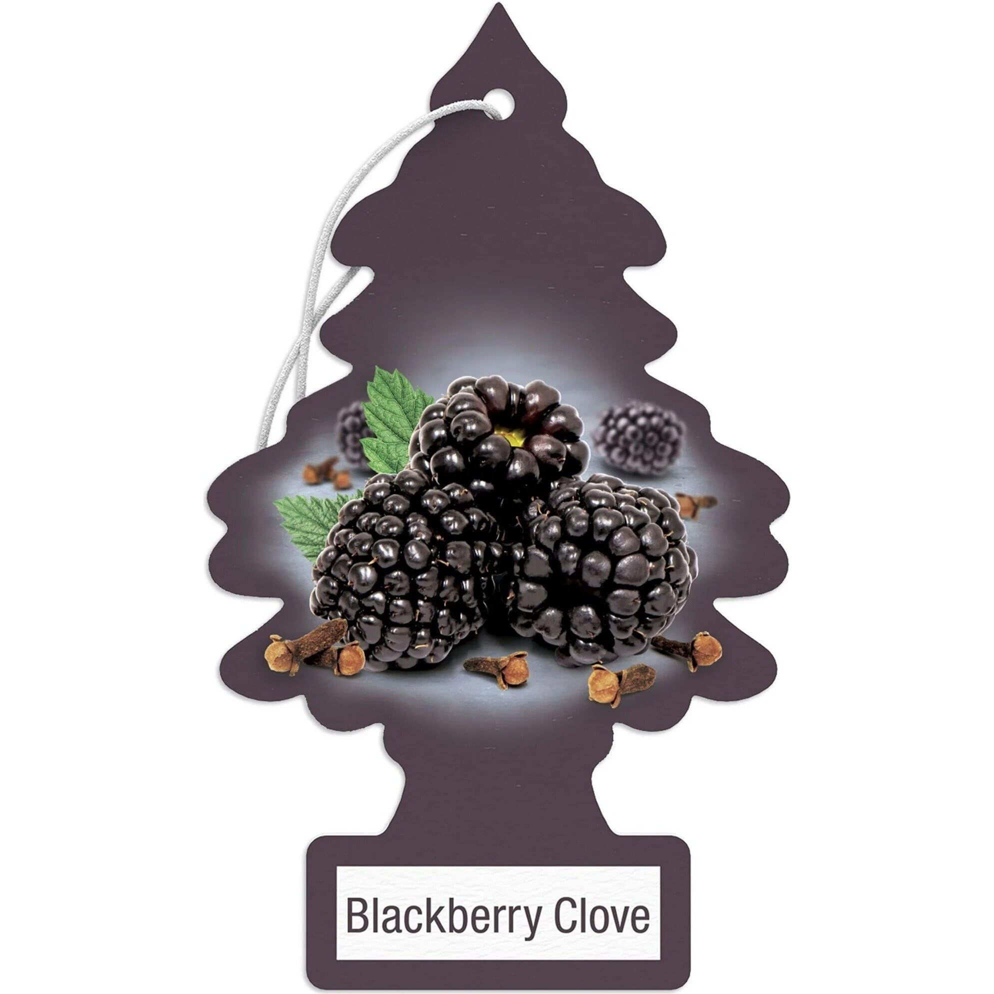 LITTLE TREES Car Air Freshener | Hanging Paper Tree for Home or Car | Blackberry Clove | Pack of 24