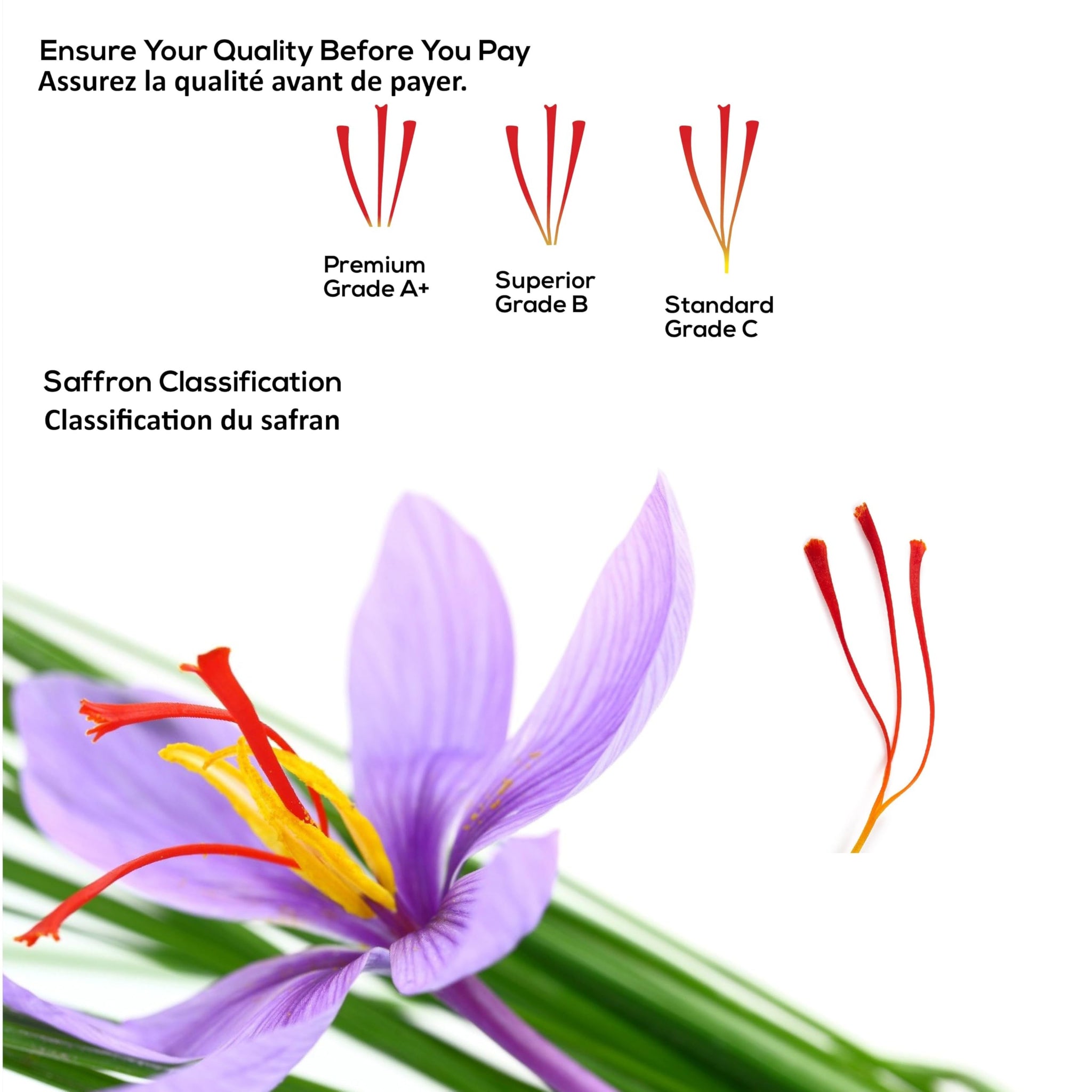 Premium Quality Saffron Threads 0.035 Ounce (1 Gram) | Awarded among 300 Types of Saffron | 100% Pure & Grade A+ | All Natural Red Zafran, Azafran