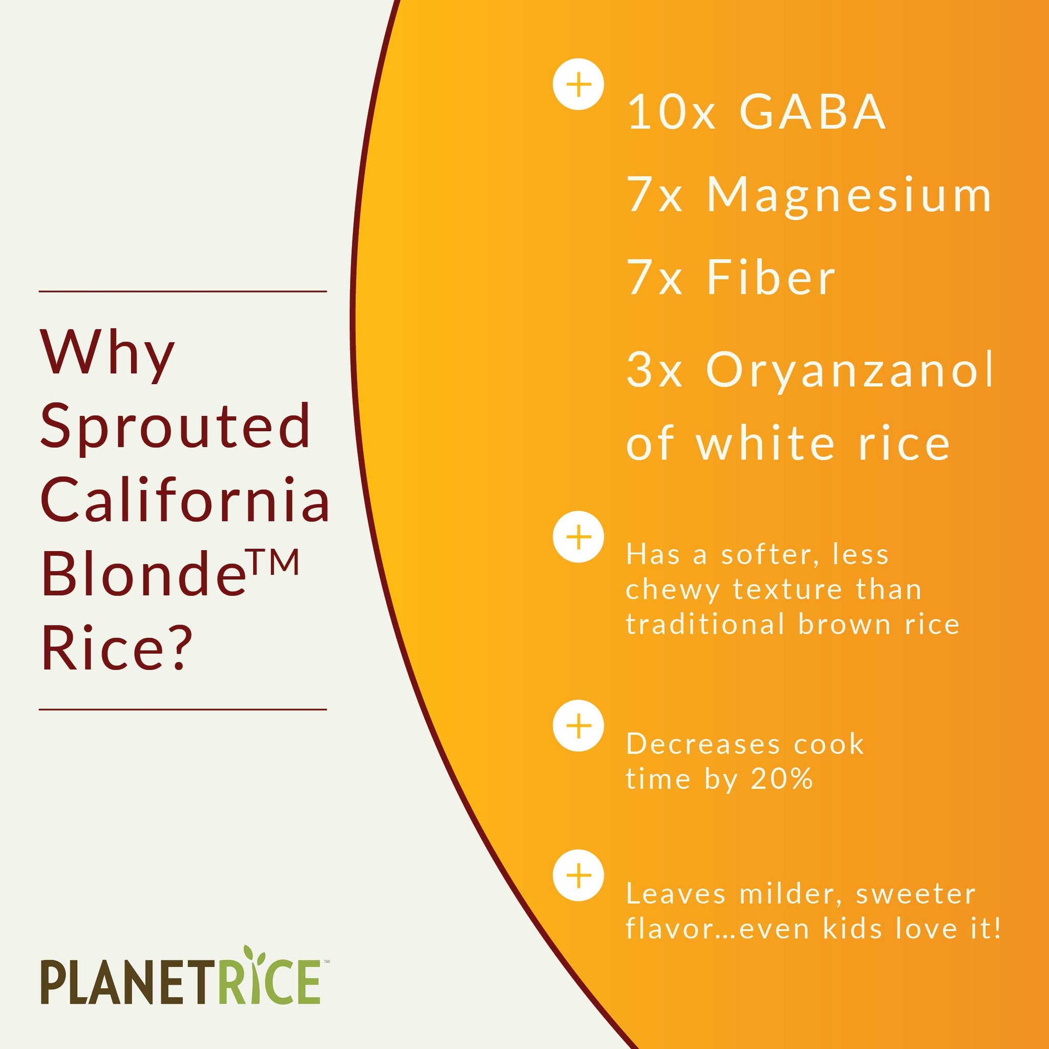 Planet Rice Bulk Sprouted Blonde Rice - Great for Cooking - Gaba Rice Gluten-Free, Non-GMO, Vegan, Paleo, with 64% More Fiber - Soft and Chewy Texture - 25 lbs