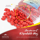 Oregon Farm Fresh Snacks French Burnt Peanuts - Classic Old Fashioned Sweet and Salty Crunchy Spanish Snack - Bulk Red Candy for Candy Jar or Snacking