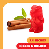 Cinnamon Bears Gummy Candy - 1 Pound Bag - Chewy Cinnamon Candy with Bold Heat - Old Fashioned Candy for Spicy Gummi Bears Fans - Classic Holiday