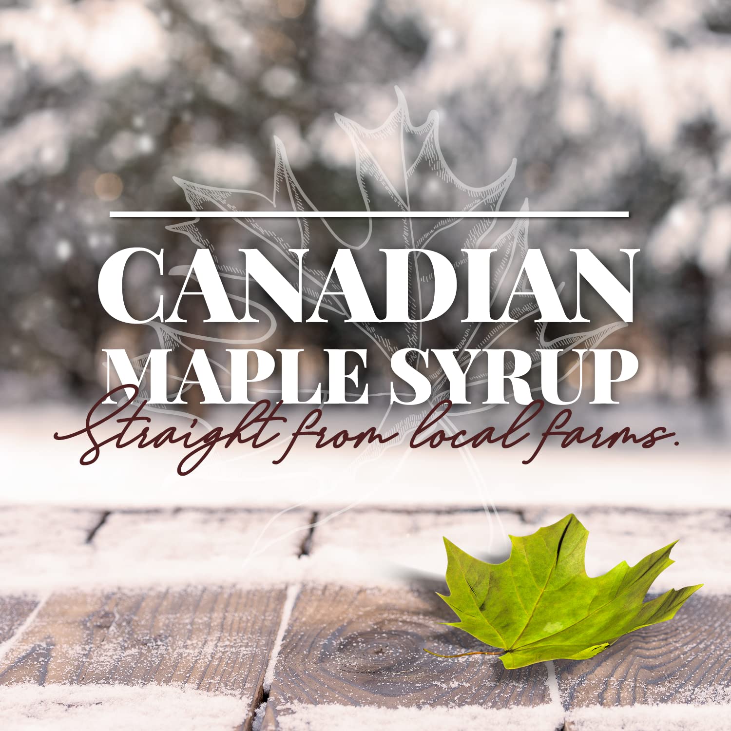 Brien 100% Pure Maple Syrup | Gluten Free Vegan Syrup | Maple Syrup Bottle | Real Maple Syrup Product From Canada | Leone Bottle 250ml / 8.4 Ounces