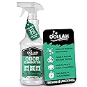 Pet Odor Eliminator for Home, Odor Eliminator Spray 32 oz, Fresh Scent Odor Neutralizer for Fabric, Carpet, Upholstery, Furniture, Bathroom & Car