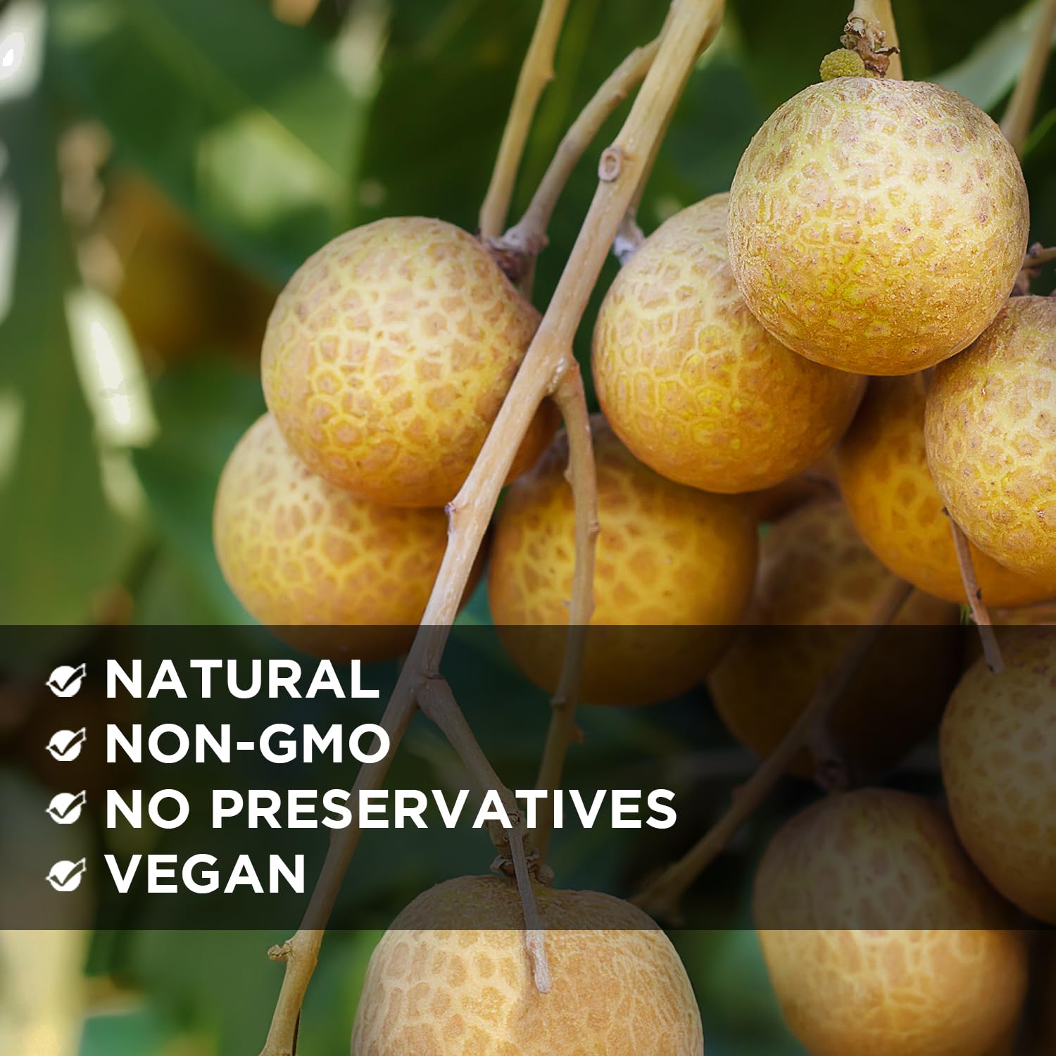 NESTLADY Natural Dried Longan ,100% fruit Meat ,??,No Sugars , Used in teas, Snacks, Dessert, - Edible, Cooking, Premium Quality | Net weight: 1LB