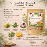 HerbeRelief Tea - Aromatic Botanical Infusion w/Gordolobo (Mullein Leaf),Oregano,Spearmint, Eucalyptus, Echinacea & Vitamin C - 24 Tea Bags (2000 mg