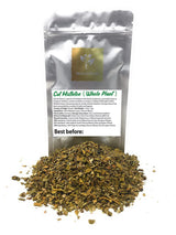 Dried Cut Mistletoe From The Whole Plant - Old English Mistle Herbal Tea - Ingredients: 100% Mistletoe Leaves (Viscum Album) - Net Weight: 1.76oz