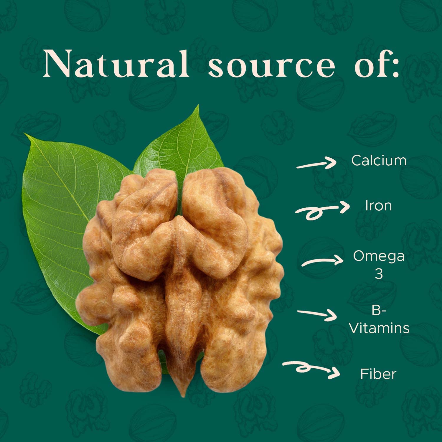 Premium Raw Walnut Halves & Pieces 48oz (3 lb) - 100% Natural, No-PPO, Non-GMO, Batch-Tested Gluten & Peanut Free, Kosher, Small Batch Quality