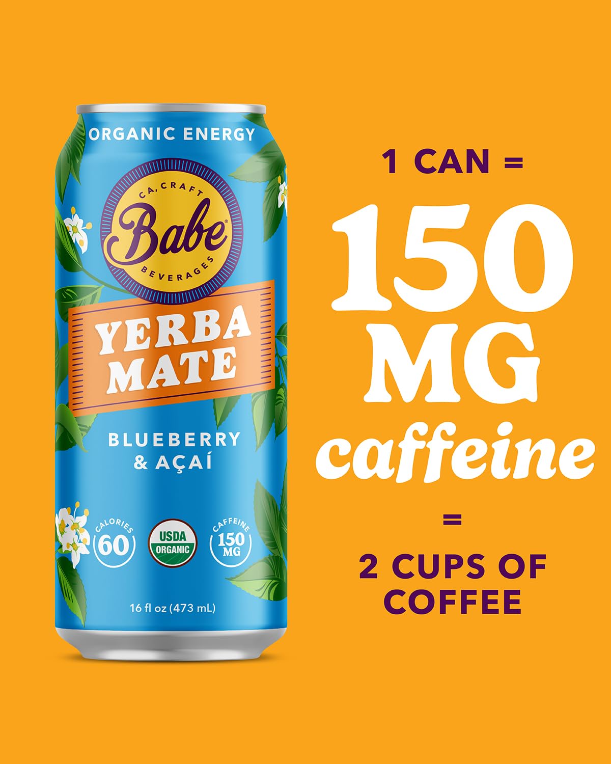 Babe Organic Yerba Mate Energy Drinks | 150mg Plant-Based Caffeine | Natural Yerba Mate Tea with No Crash, No Jitters - Sample Pack (6 x 16oz Cans)