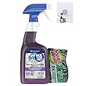 Dawn Professional Multi-Surface Heavy Duty Degreaser Spray 32 Fl Oz bundled with Heavy Duty Scotch Brite Sponge