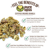 Pure Bliss Organic Grain Free Granola (Maple Almond Cluster) Paleo Friendly, Gluten Free, Vegan, Best-Tasting, Non-GMO, Low Carb Snack, All Real Super