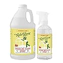 Rebel Green Sparkling Glass Spray - Streak-Free Natural Glass Cleaner for Windows, Mirrors, and Surfaces - Peppermint & Lemon Scent - 80 oz - 2 Pack