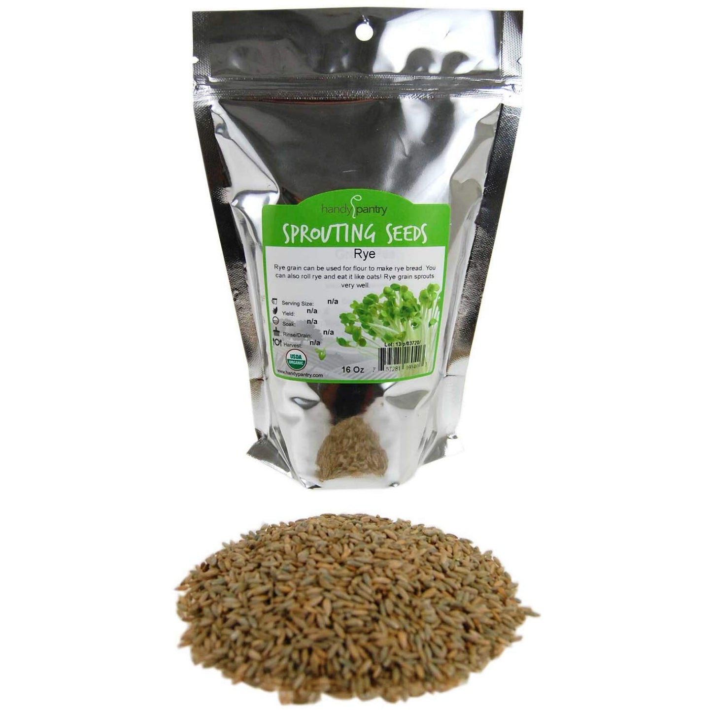 1 Lb Bag Organic Rye Grain Seeds - Rye Seed for Sprouting Rye Berries, Rye Seeds for Organic Rye Flour, Rye Meal, Rye Pasta, Marble Rye Bread, Rye