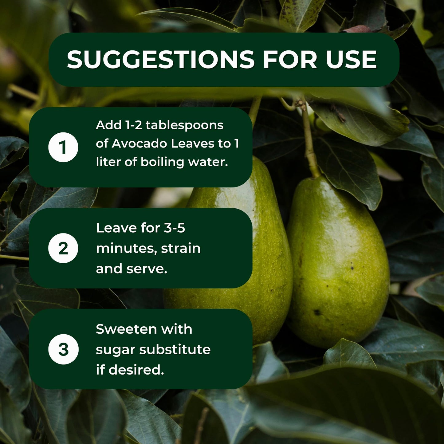 Hanan Avocado Leaves - 0.85 oz (24g) - Dried Loose Leaf Palta/Aguacate Herbal Tea from Peru - 100% Natural Leaves from Peru for Herbal Tea Supplement