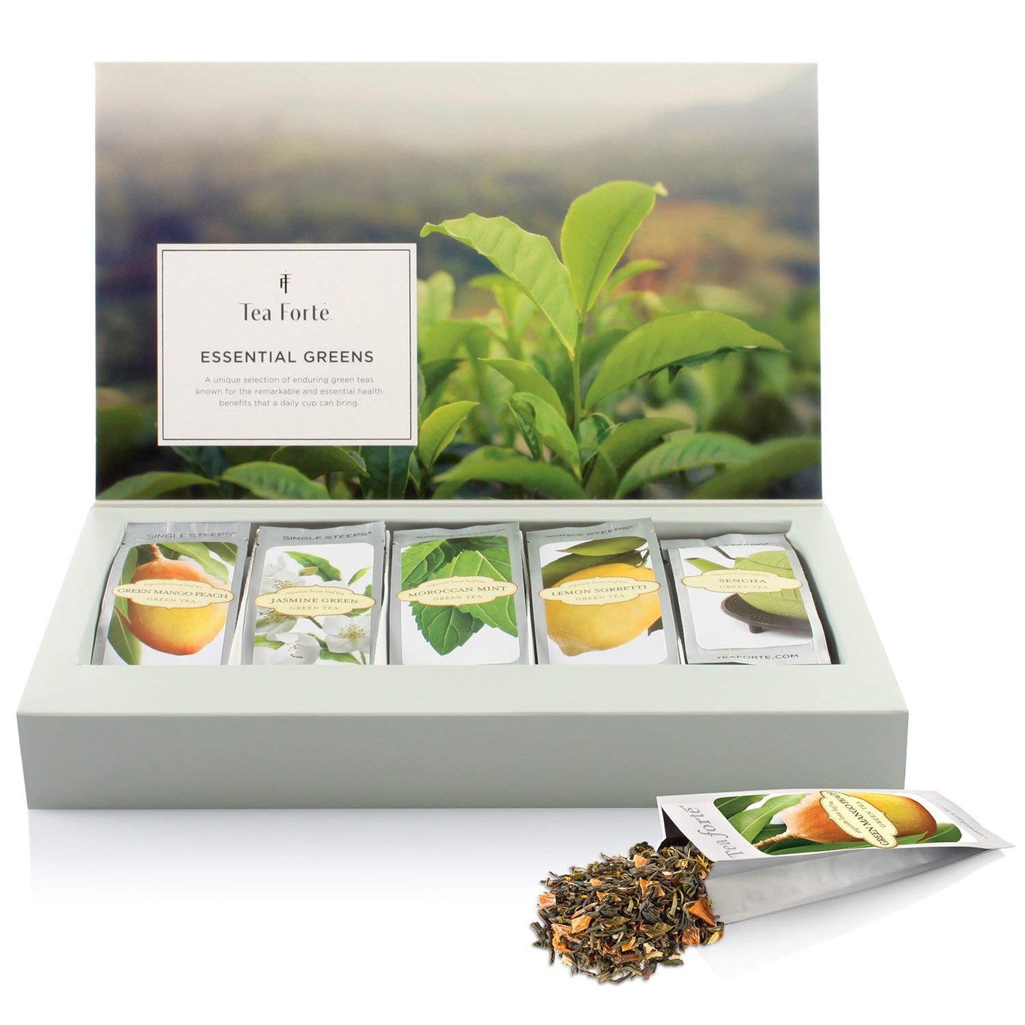 Tea Forte Single Steeps Loose Leaf Tea Sampler, Assorted Variety Tea Box, 15 Single Serve Pouches, Green Tea