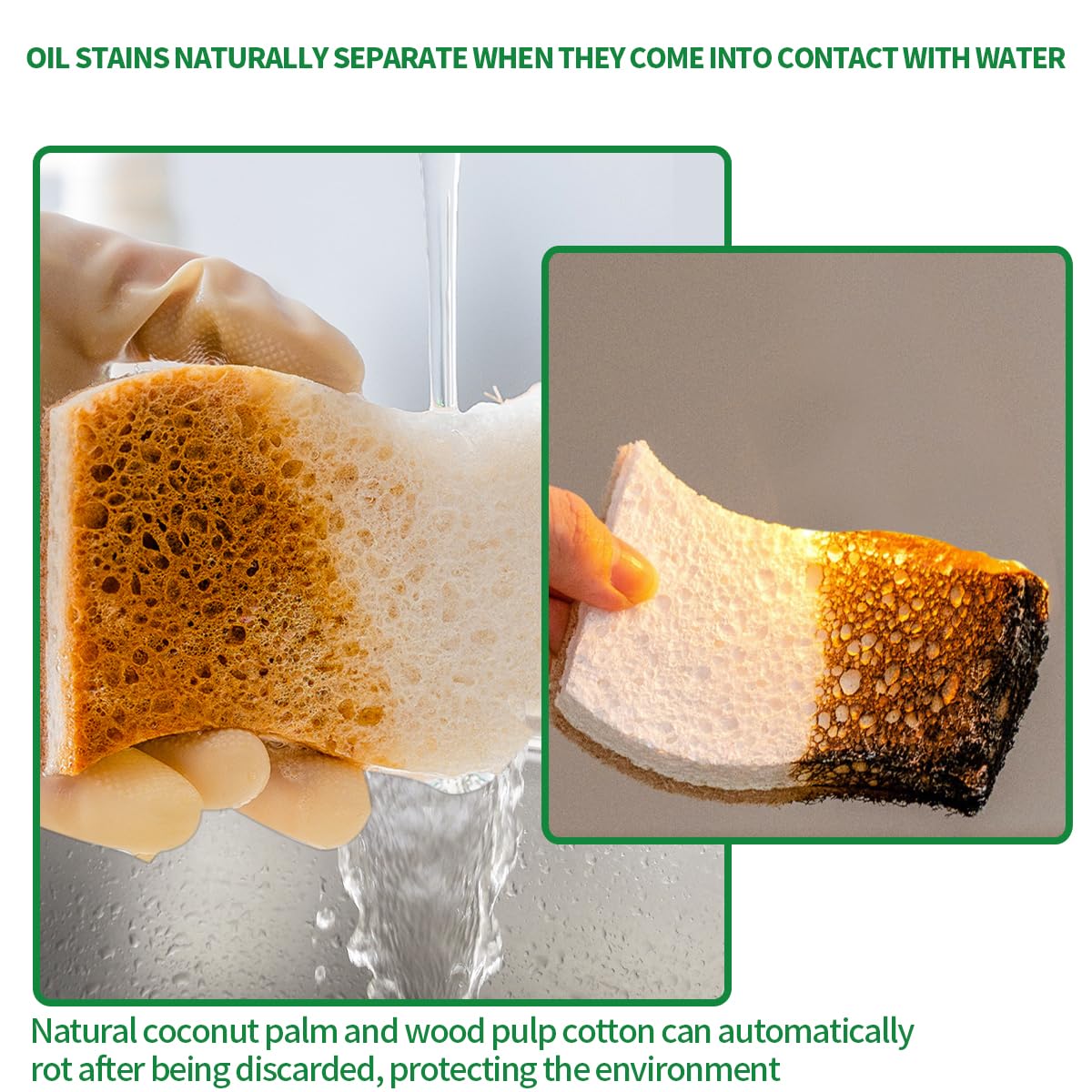 Sponges Kitchen Natural Dish Sponge Plant-Based Biodegradable Compostable Cellulose with Coconut Scrubber Sponge Non Scratch Eco Friendly Kitchen