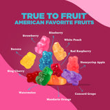Albanese World's Best True to Fruit American Favorite Fruits Gummies | 25oz Bag of Candy | 10 Natural Flavors and Colors, Soft Gummy Bears | Tastes