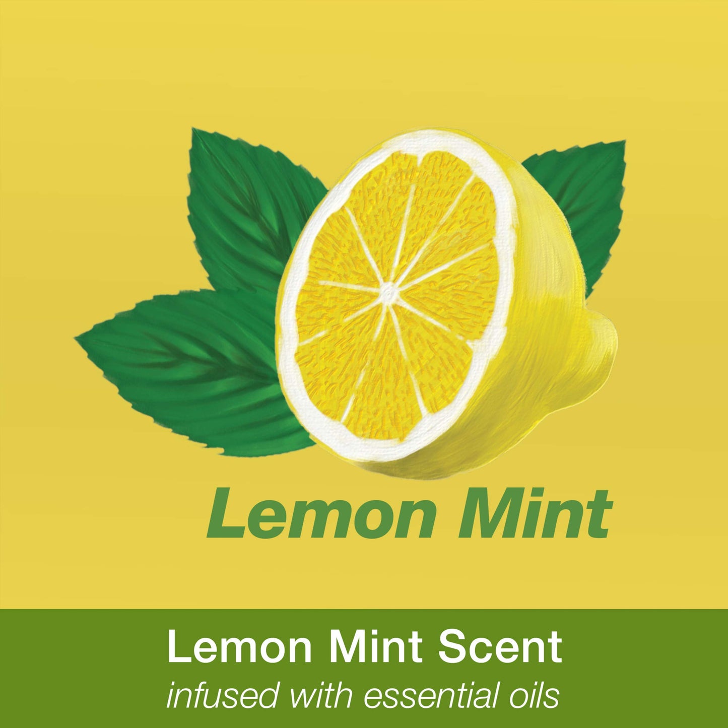 Bona Multi-Surface Floor Cleaner Spray, for Stone Tile Laminate and Vinyl LVT/LVP, Lemon Mint Scent, 36 Fl Oz