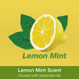 Bona Multi-Surface Floor Cleaner Spray, for Stone Tile Laminate and Vinyl LVT/LVP, Lemon Mint Scent, 36 Fl Oz