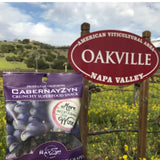 Wine RayZyn® CabernayZyn® | Nature's Most Antioxidant-Rich Superfood for a Healthy Heart and Life | Made from Dried California Cabernet Wine Raisins®|