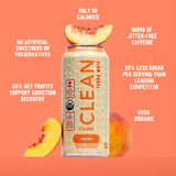 NEW! CLEAN Cause Variety Pack Organic Yerba Mate Tea (15.5oz cans, 12-Pack Case, 4 flavors) Non-Carbonated, 160mg Caffeine