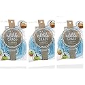 Grandys Candys Edible Easter Grass- Green Apple, Blueberry, Strawberry, & Multi Flavored Bundle-Fun and Delicious Way to Complete Your Easter Baskets