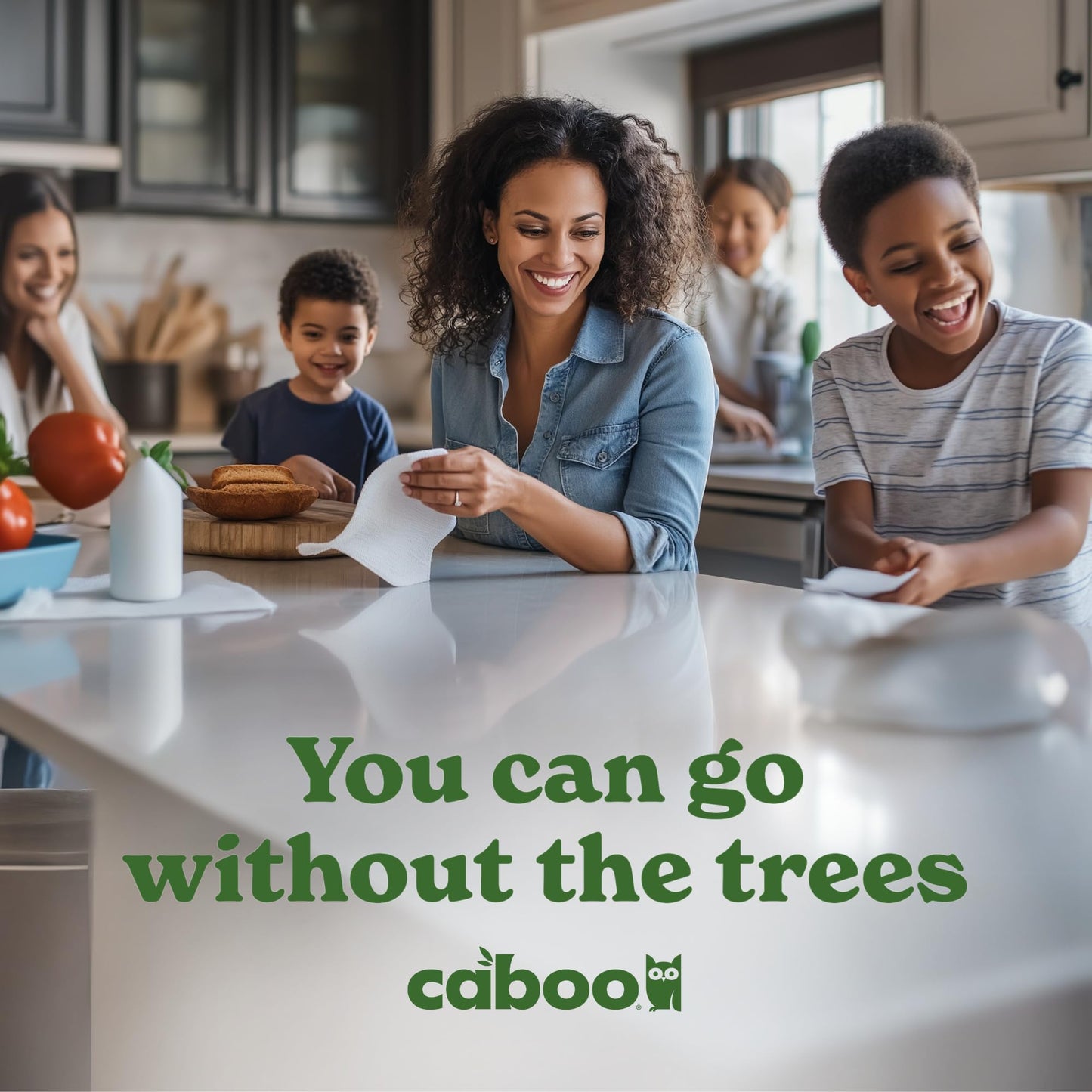 Caboo Tree Free Paper Towels, 2 Rolls, Tree Free, Plastic Free, Earth Friendly, Sustainable Kitchen Paper Towels with Strong 2 Ply Sheets