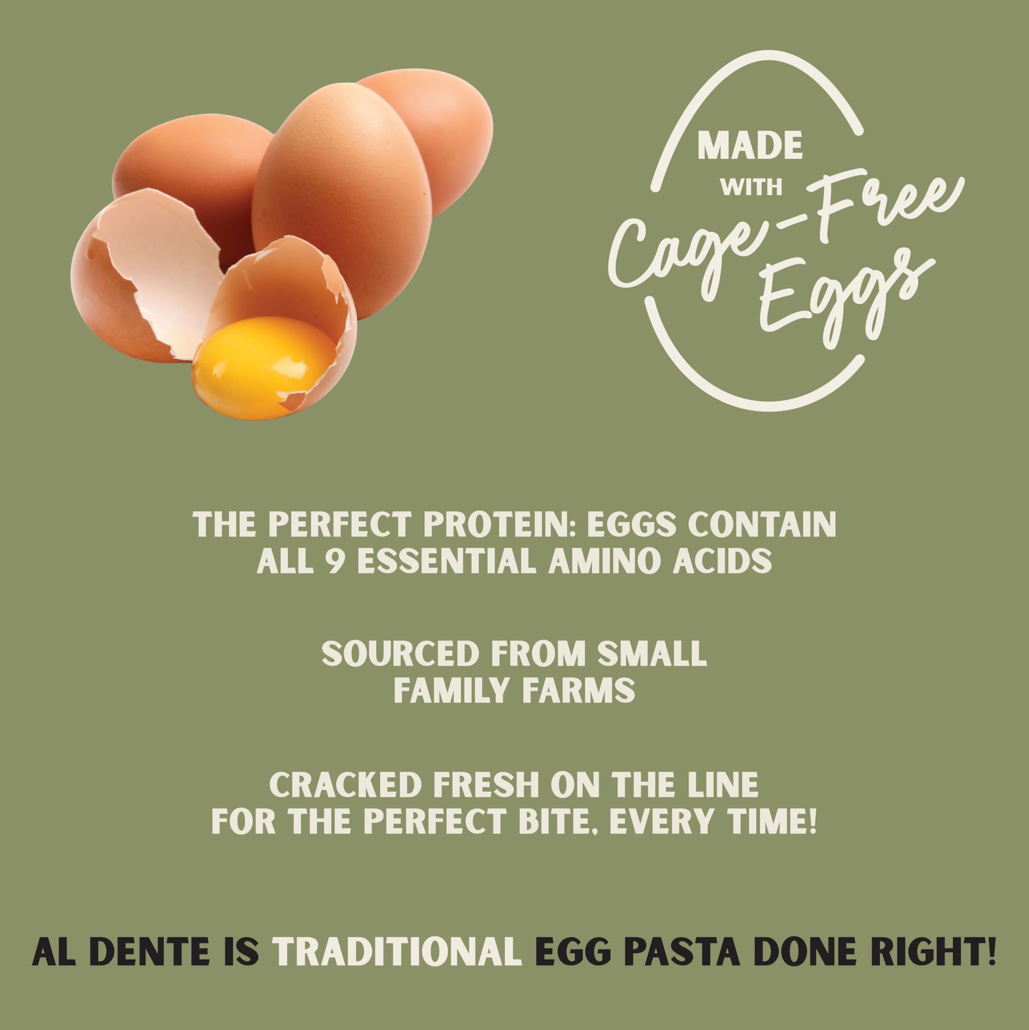 Al Dente Garlic Parsley Fettuccine - All-Natural Egg Pasta. Delicious, Gourmet, And Versatile. Traditional Pasta Noodles Made With Cage-Free Eggs