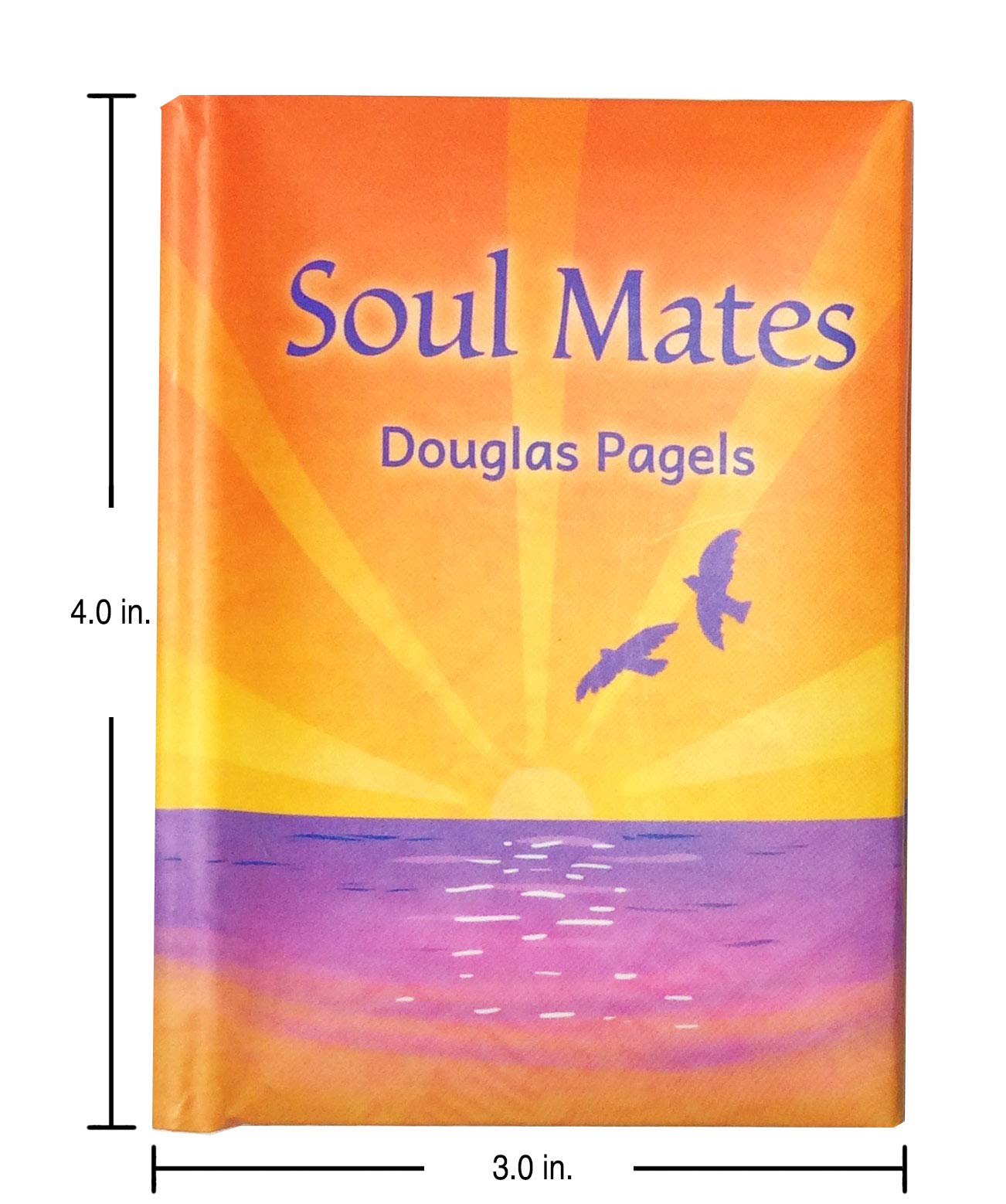 Blue Mountain Arts Mini Book (Soul Mates)-Husband Gift, Wife Gift, Significant Other Gift, Partner Gift, by Douglas Pagels, 4 x 3 inches