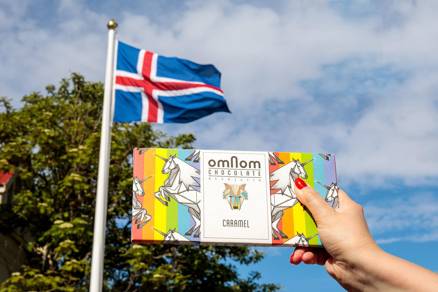 OmNom BIG! Caramel + Milk "Pride Bar" | Icelandic Bean To Bar Chocolate by OMNOM CHOCOLATE REYKJAVIK | 3 x 250g Bar