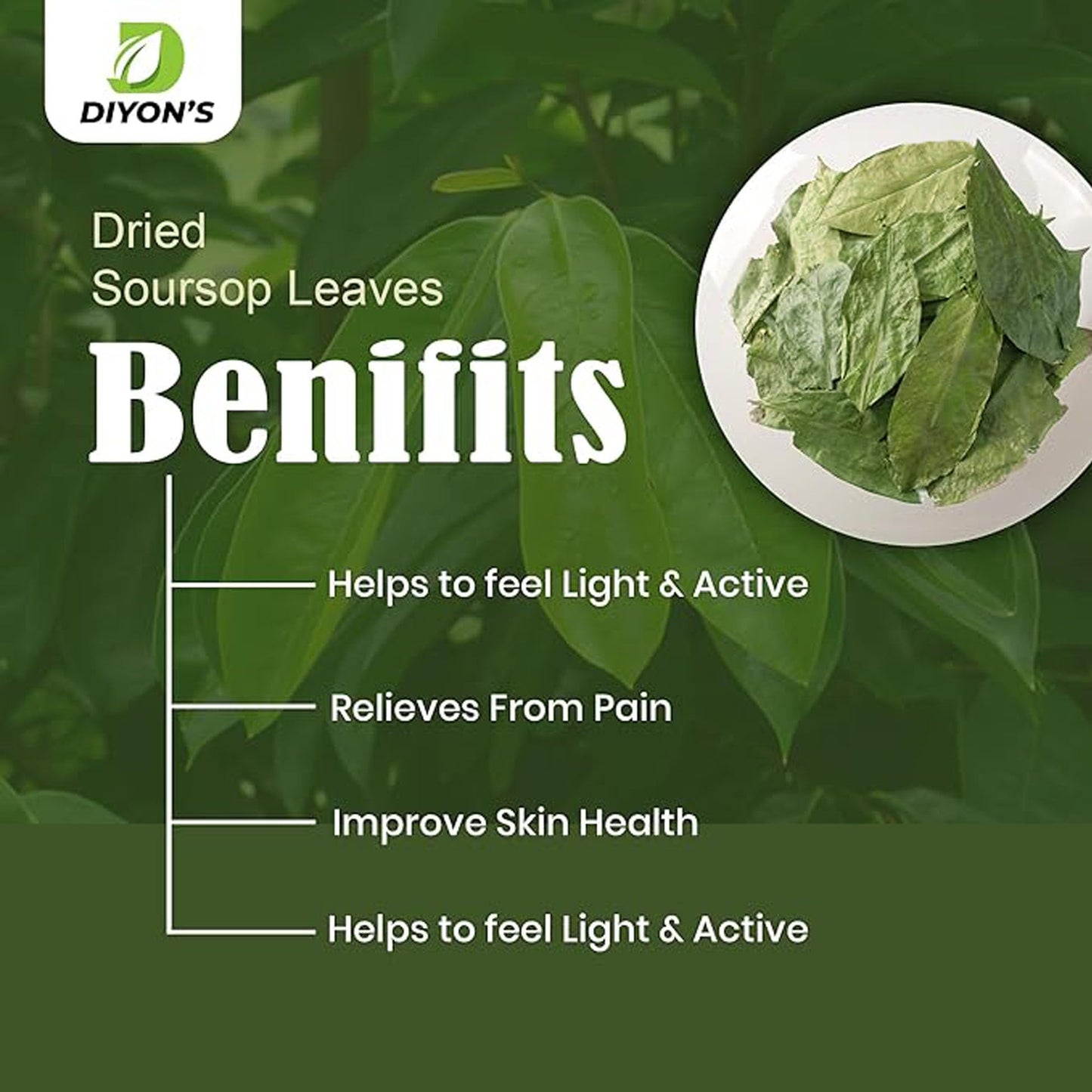 Diyon's Dried Whole Soursop 200 Leaves (110g) 100% All Natural, Delicious Fresh Tea | From Sri Lanka | Premium Wildcrafted Quality, Packed In a Stand