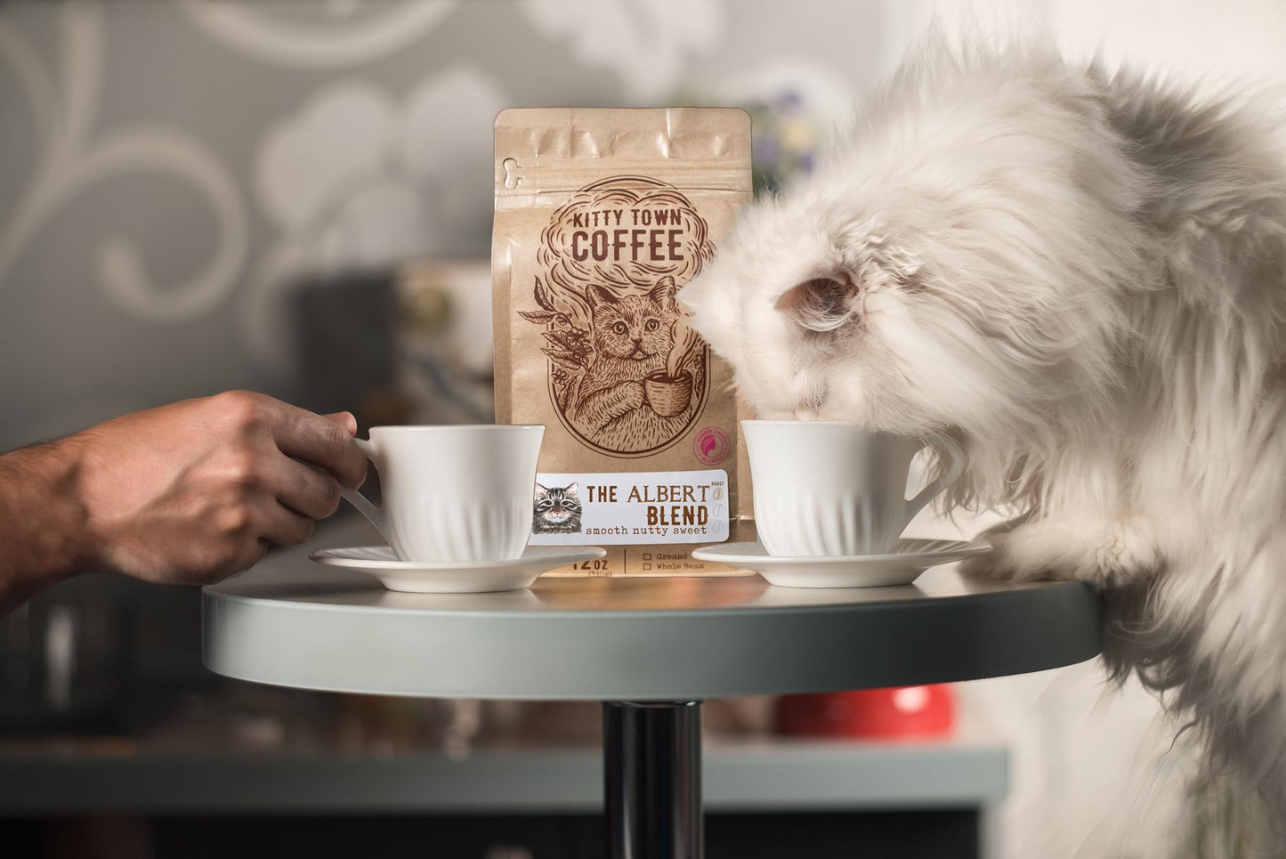 Kitty Town Coffee: The Albert Blend Light Roast Coffee From Brazil & Costa Rica 2lb (32oz) Ground