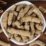 Morinda,Officinalis Radix Morinda,Officinalis Radix Morinda,Ba Ji Tian,Morindae Root Radix,Morinda Offcinalis (250grams)